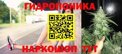 jwh Гудермес