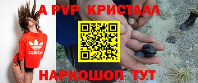 jwh Гудермес